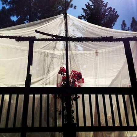 The Red Rooster Lodge Coulterville Buitenkant foto