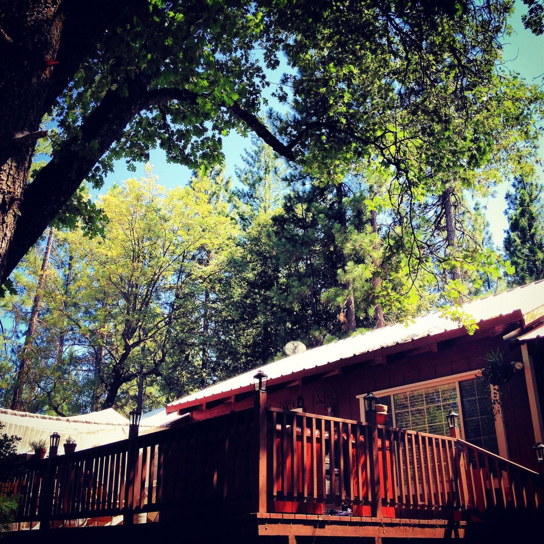 The Red Rooster Lodge Coulterville Buitenkant foto